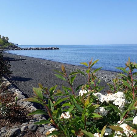Pasa Tatil Koeyue Akcaabat Buitenkant foto